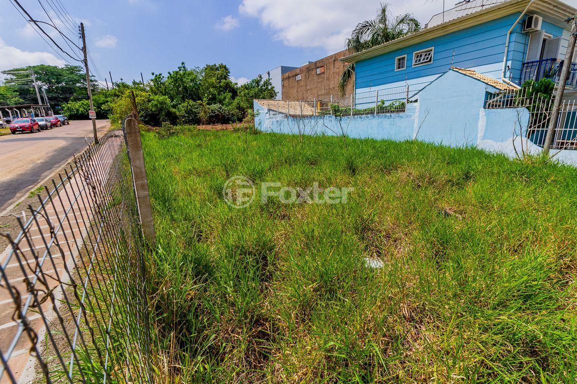 terreno lote condominio para comprar em Luiz Fontoura Júnior, 257 - foto 9