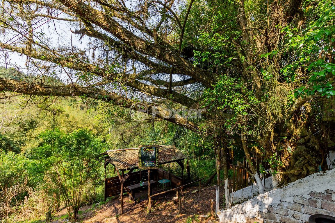 terreno lote condominio para comprar em João de Oliveira Remião, 3208 - foto 48