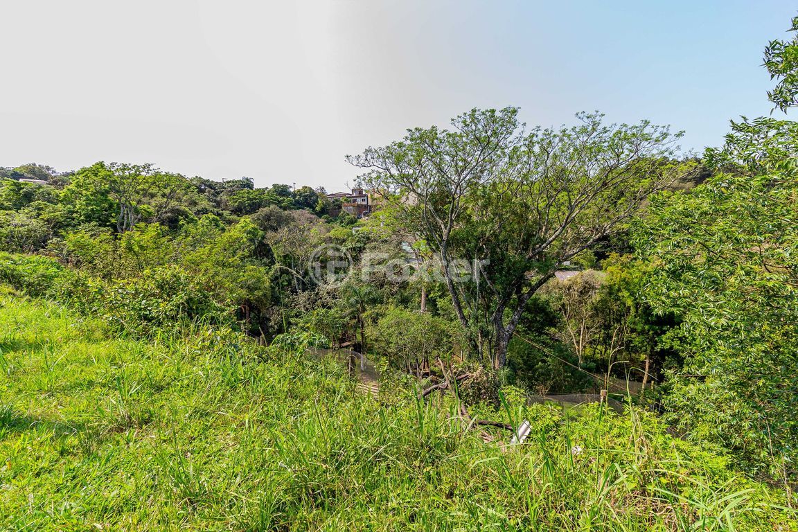terreno lote condominio para comprar em João de Oliveira Remião, 3208 - foto 57
