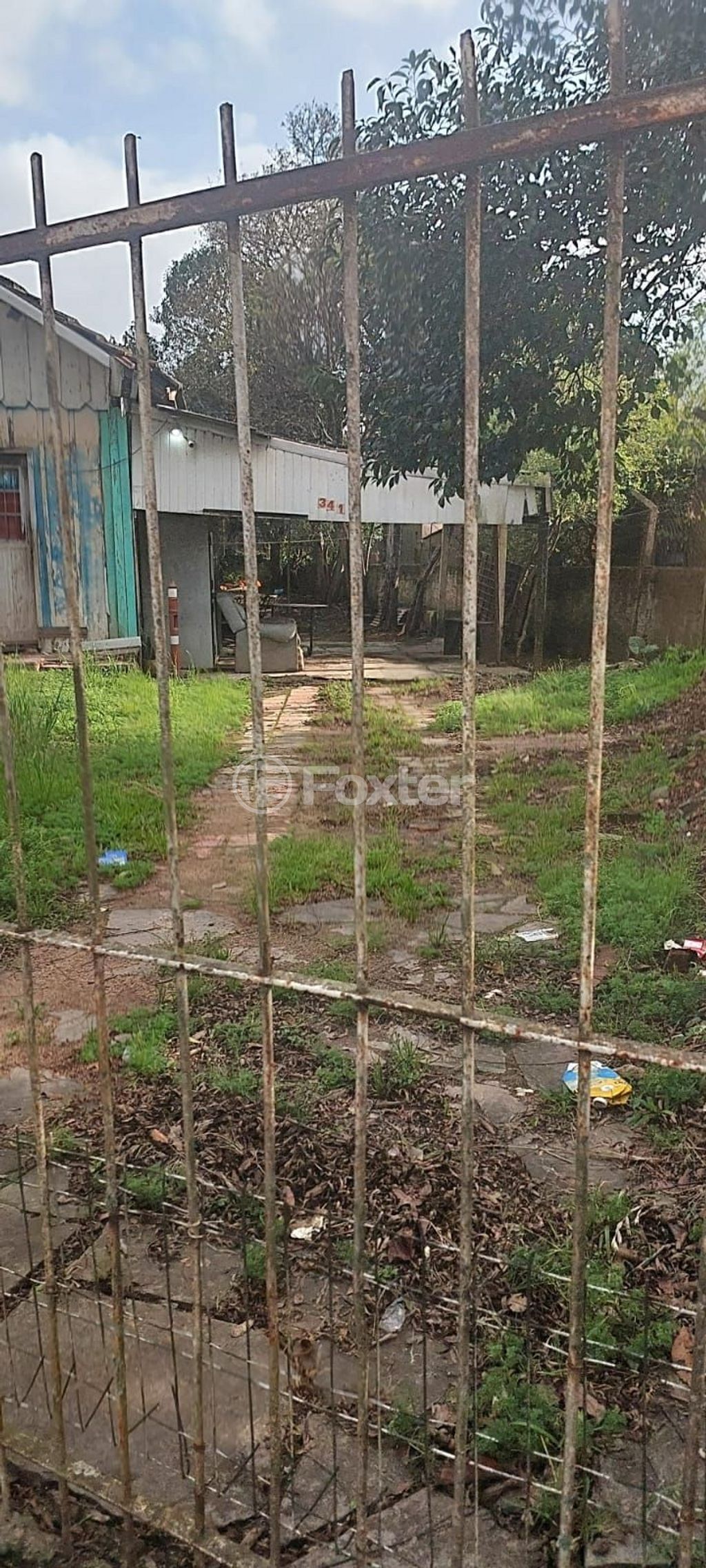 Foto 4