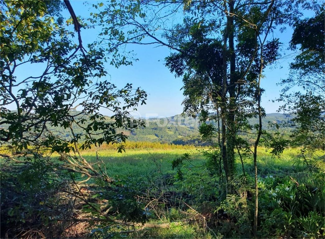 Foto do Anuncio