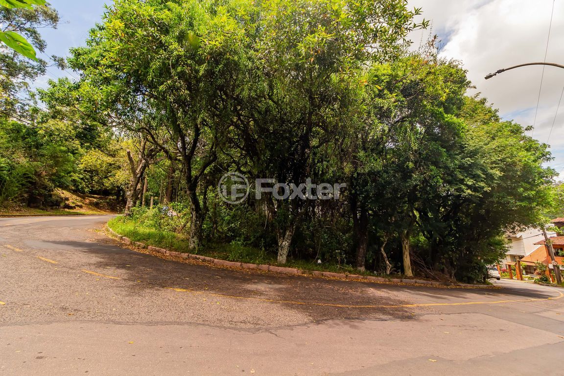 terreno lote condominio para comprar em Fernando Osório, 775/805 - foto 13