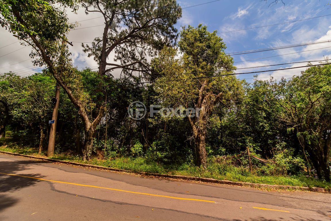 terreno lote condominio para comprar em Fernando Osório, 775/805 - foto 14