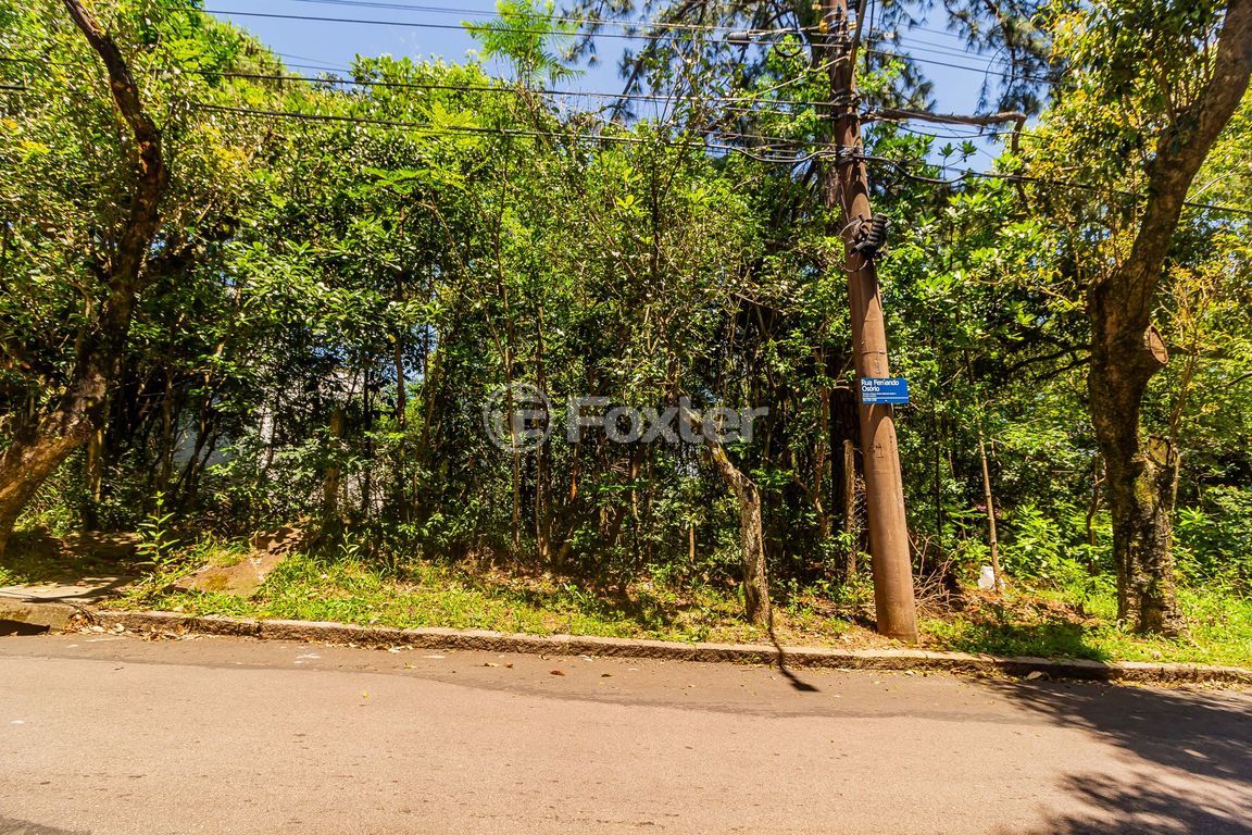 terreno lote condominio para comprar em Fernando Osório, 775/805 - foto 7