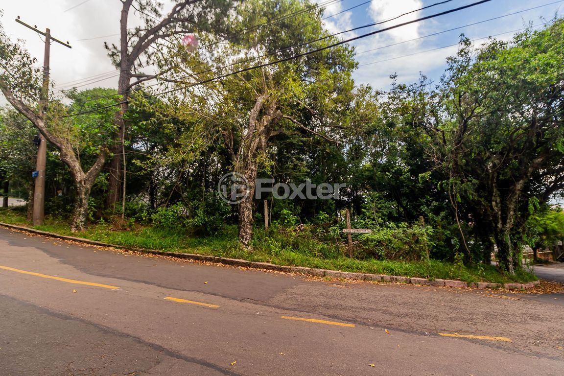 terreno lote condominio para comprar em Fernando Osório, 775/805 - foto 15