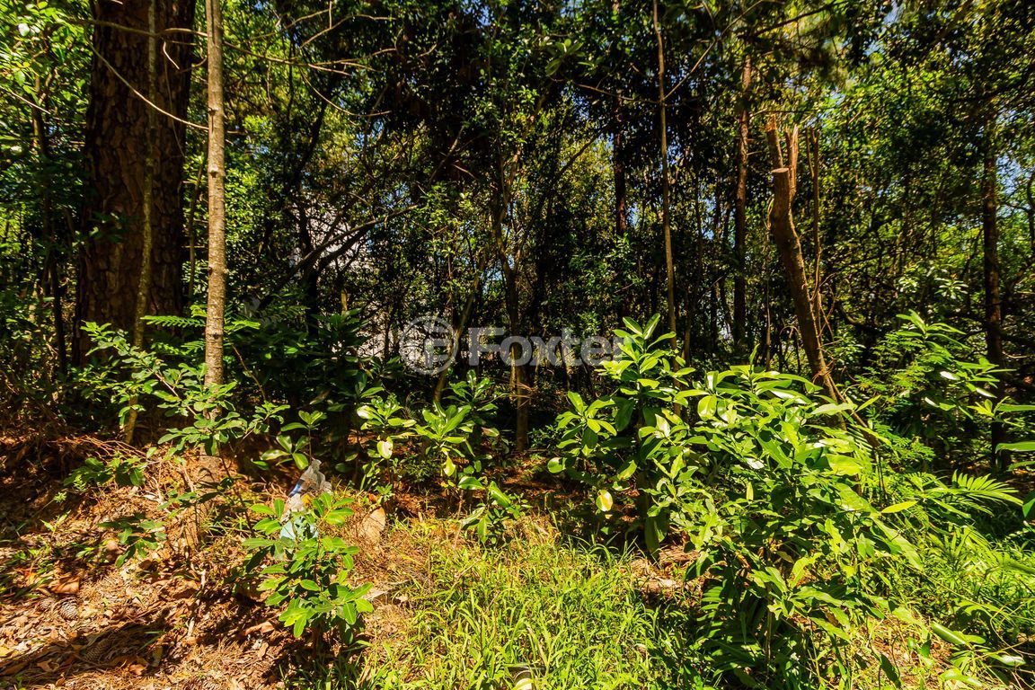 terreno lote condominio para comprar em Fernando Osório, 775/805 - foto 8