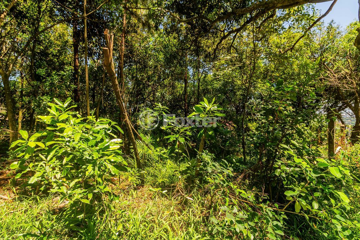 terreno lote condominio para comprar em Fernando Osório, 775/805 - foto 9