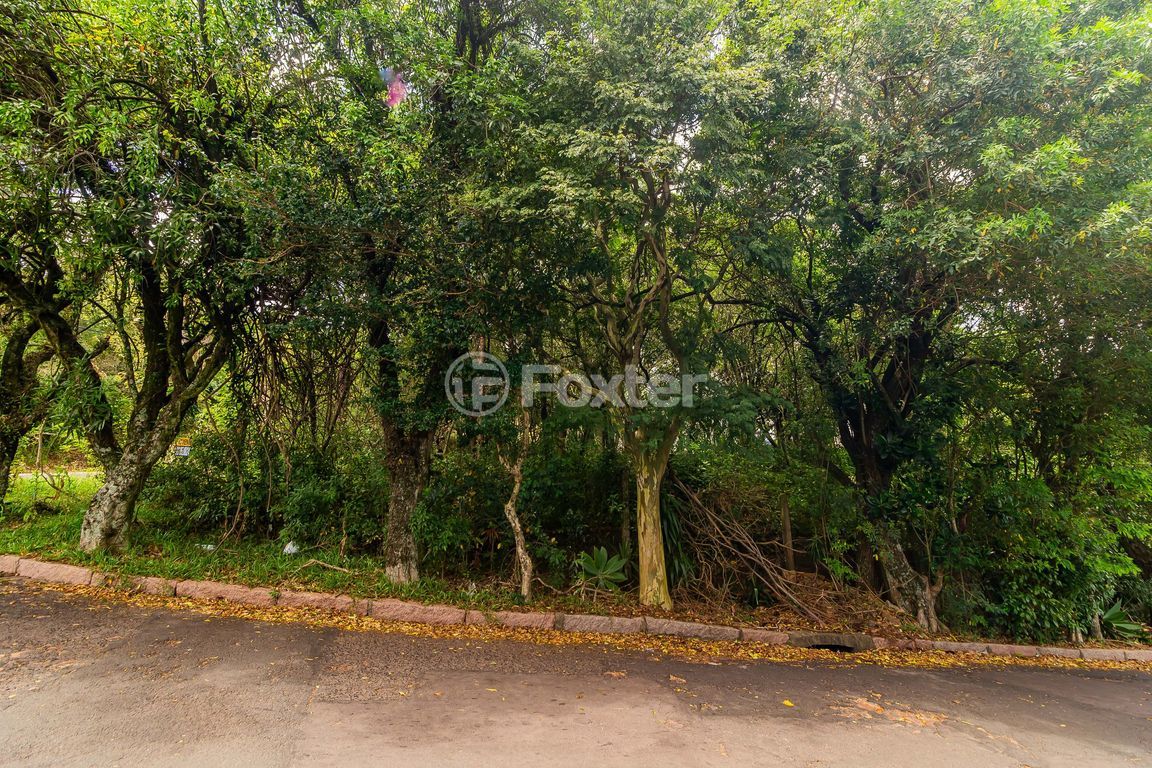 terreno lote condominio para comprar em Fernando Osório, 775/805 - foto 17