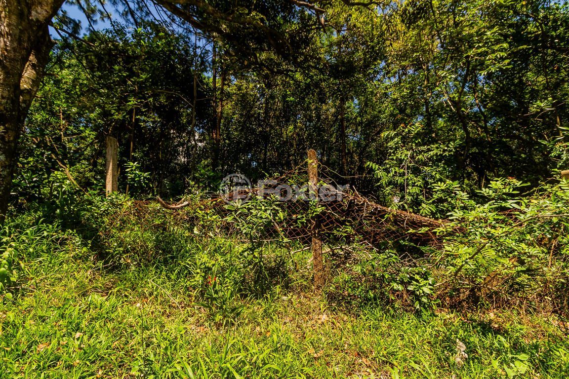 terreno lote condominio para comprar em Fernando Osório, 775/805 - foto 10