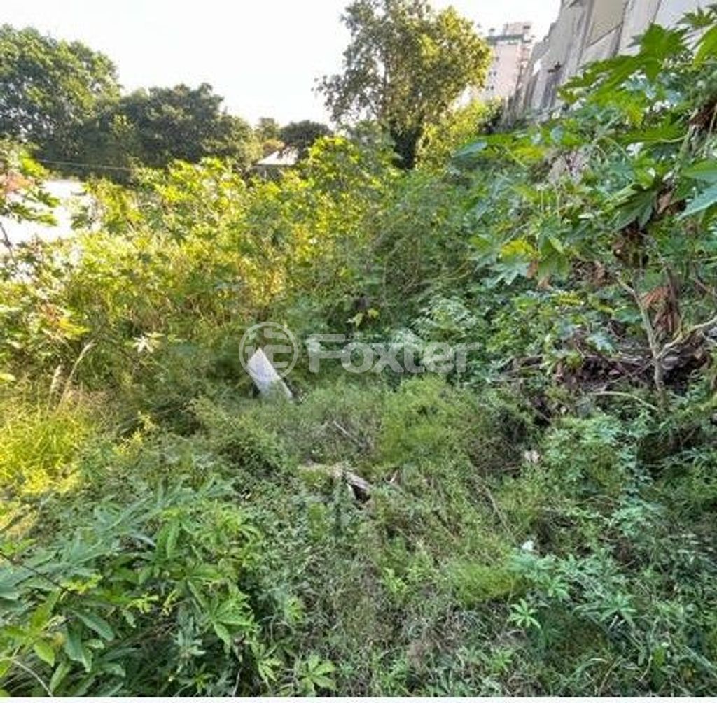 terreno lote condominio para comprar em Conde da Figueira, 454 - foto 6