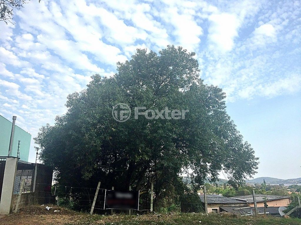 Foto 0