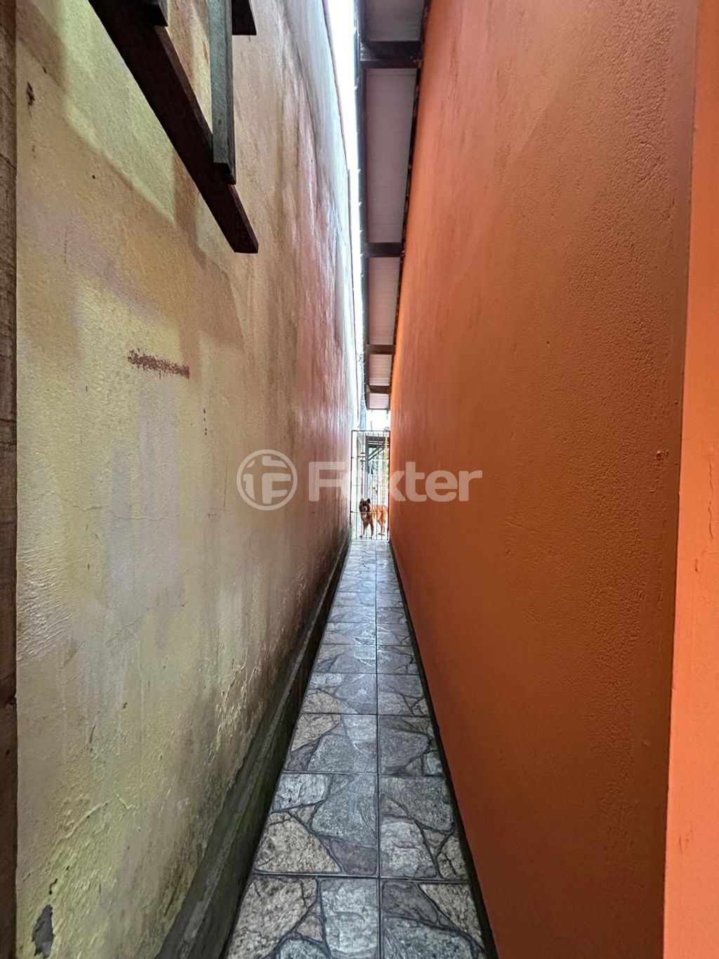 Foto do Anuncio