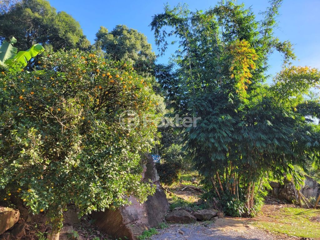 sitio chachara fazenda para comprar em Vicente Prieto, S/N - foto 13