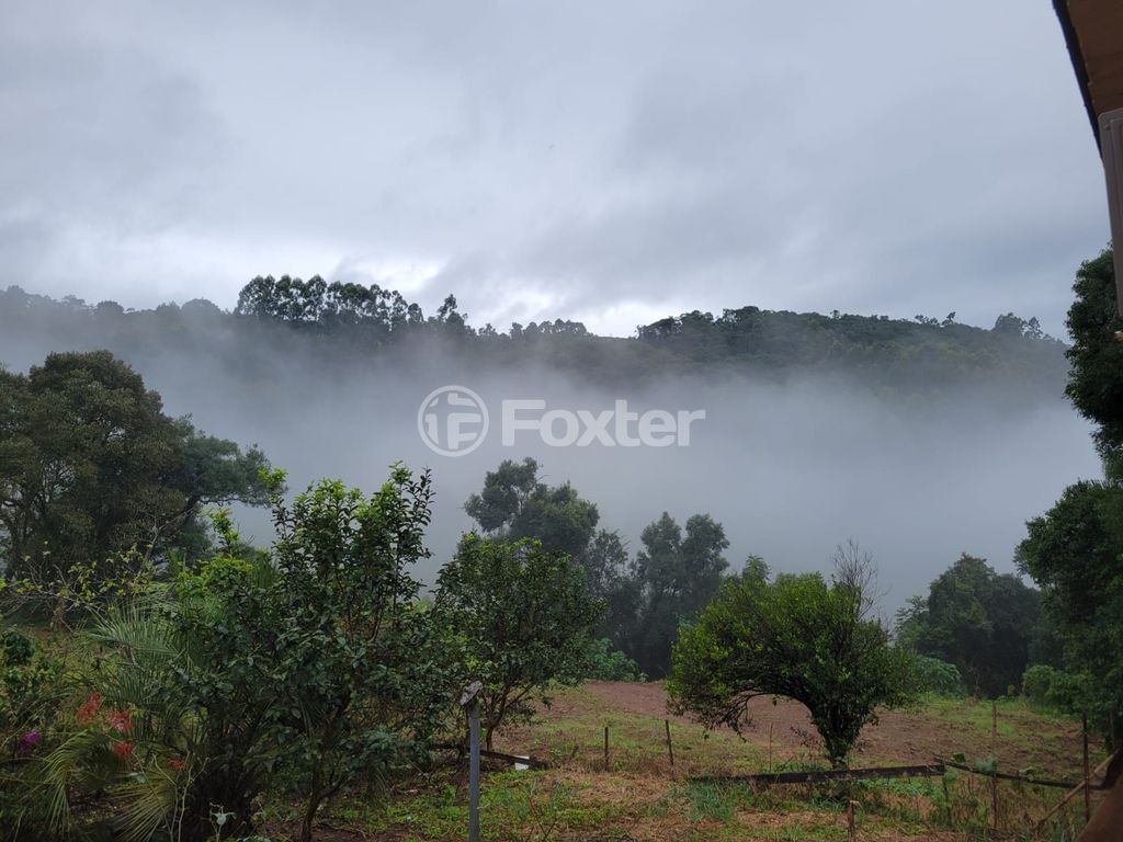 sitio chachara fazenda para comprar em Vicente Prieto, S/N - foto 14