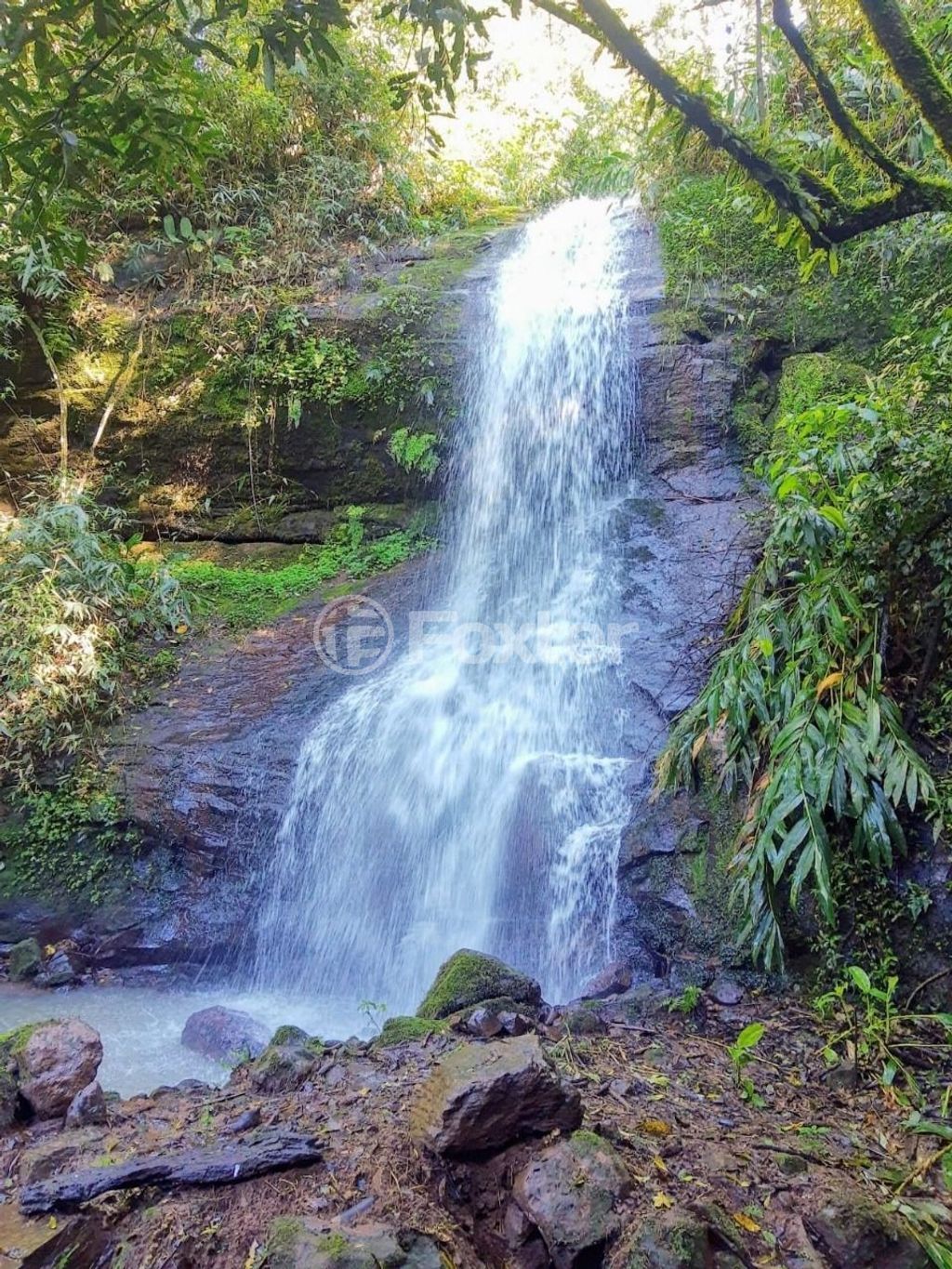 sitio chachara fazenda para comprar em Vicente Prieto, S/N - foto 12