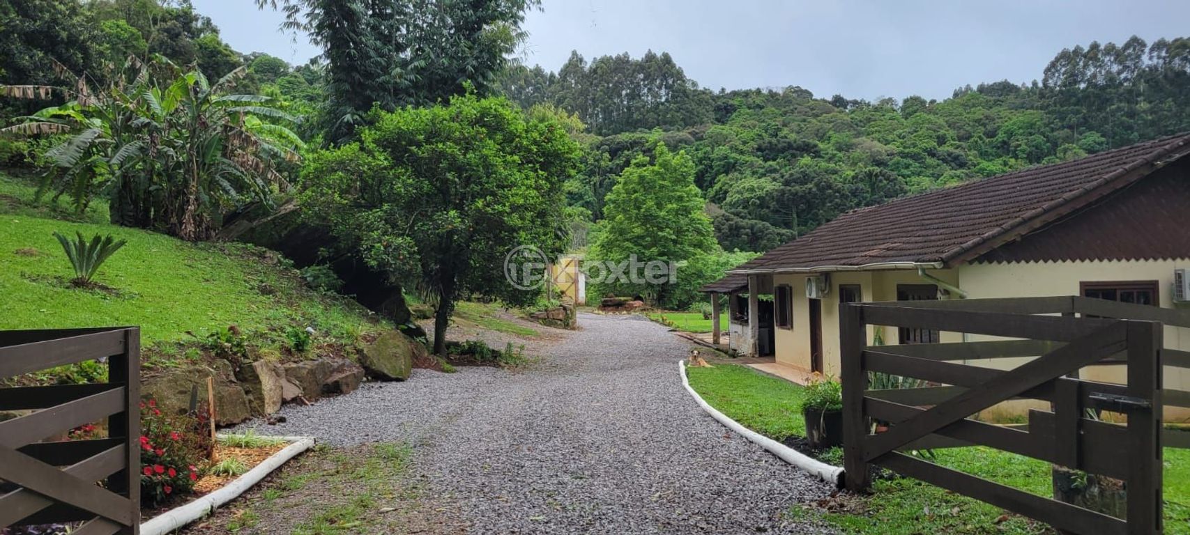 sitio chachara fazenda para comprar em Vicente Prieto, S/N - foto 10