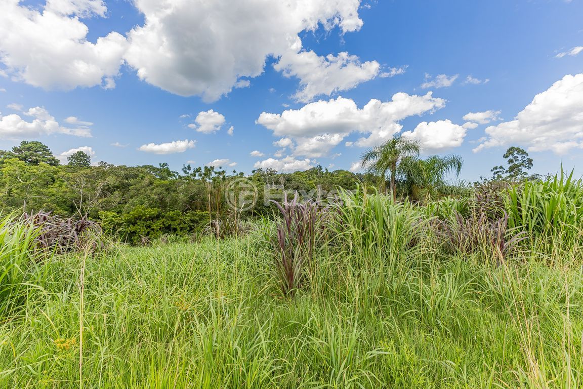 terreno lote condominio para comprar em Manoel Santana, 625 - foto 19