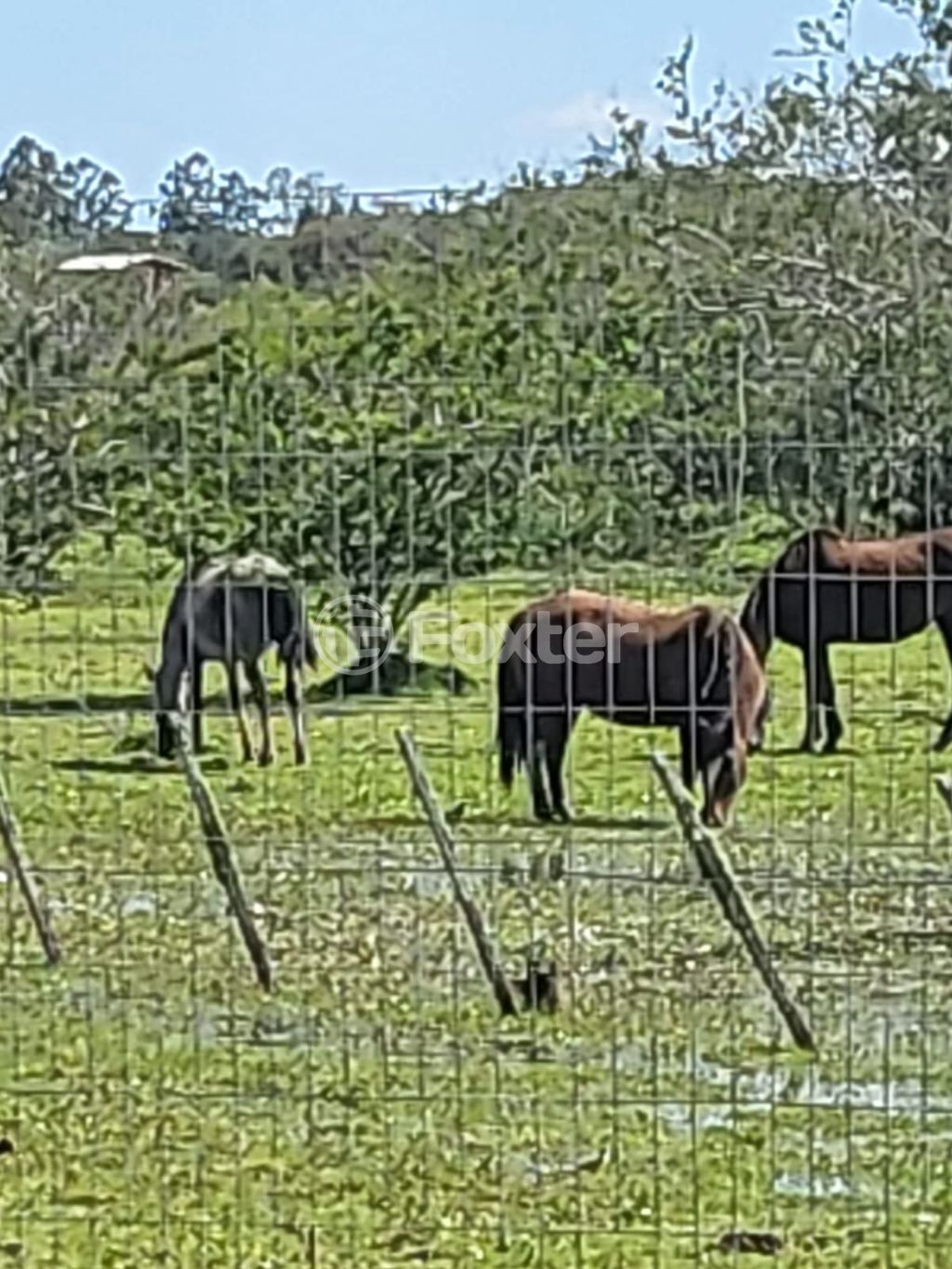 Casa em condominio para comprar em Rancho Alegre, 632 - foto 41