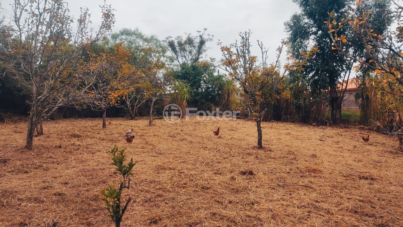 sitio chachara fazenda para comprar em dos Sargentos, 170 - foto 8