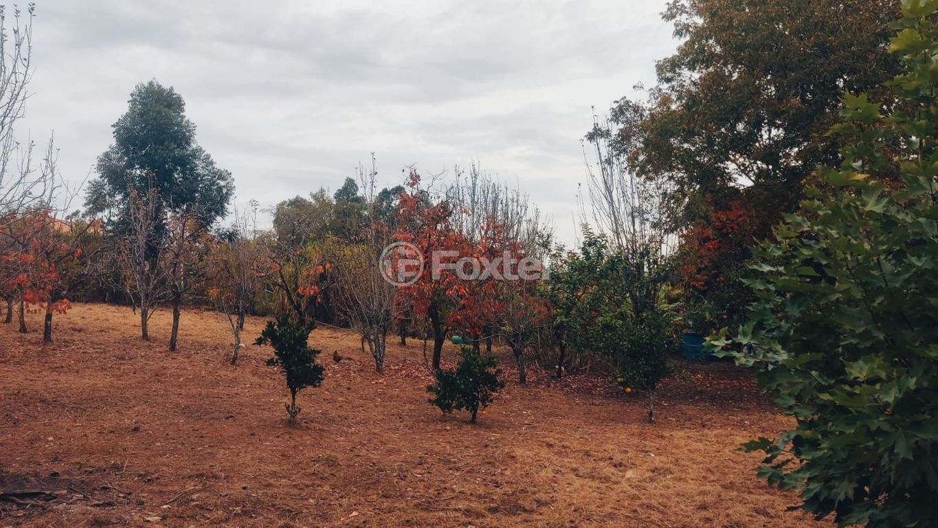 sitio chachara fazenda para comprar em dos Sargentos, 170 - foto 9