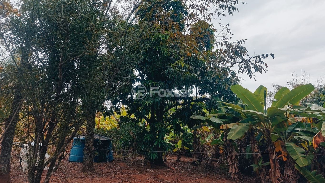 sitio chachara fazenda para comprar em dos Sargentos, 170 - foto 10