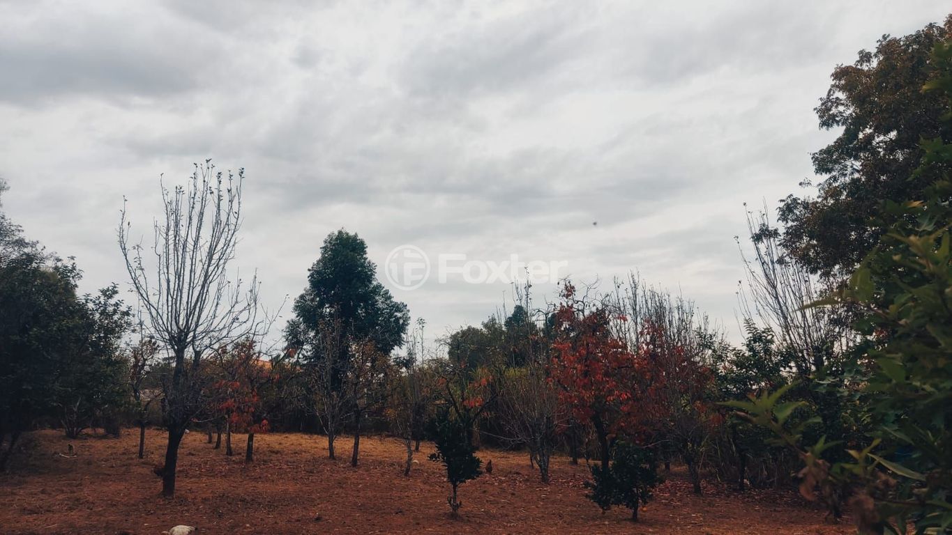 sitio chachara fazenda para comprar em dos Sargentos, 170 - foto 12