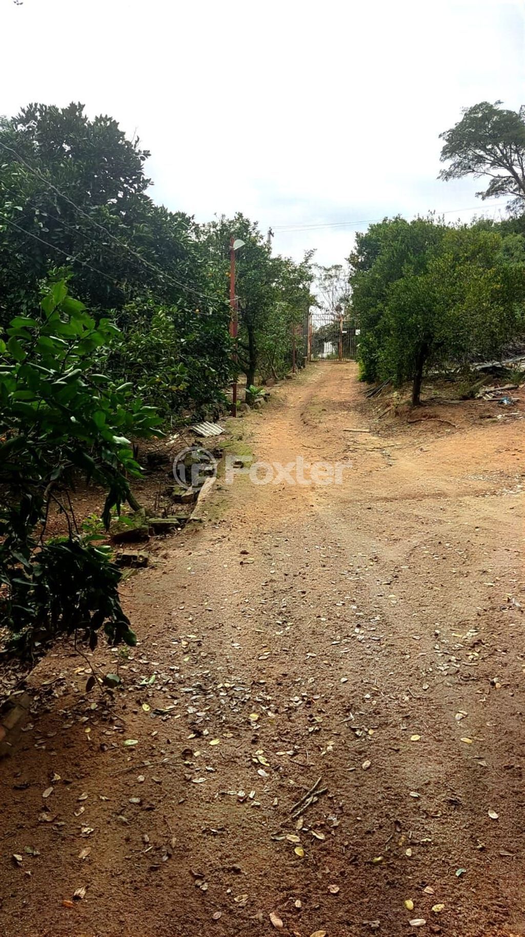 sitio chachara fazenda para comprar em dos Sargentos, 170 - foto 15