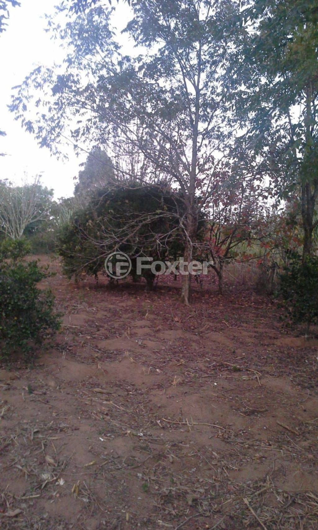 sitio chachara fazenda para comprar em dos Sargentos, 170 - foto 18