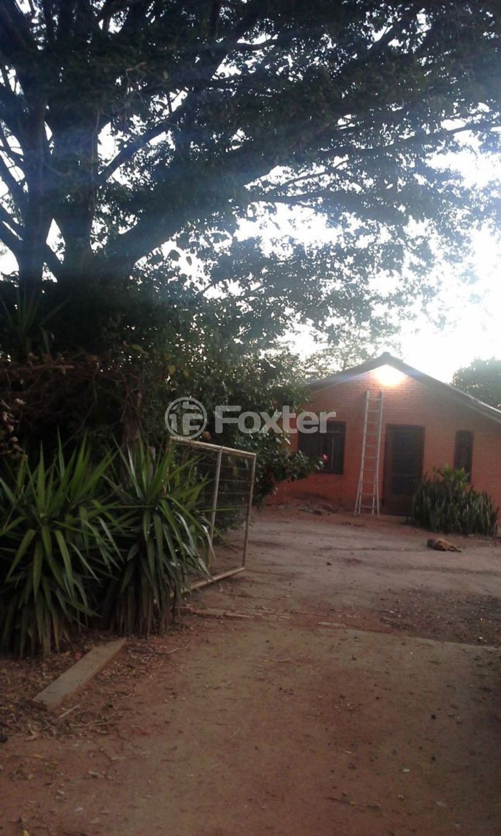 sitio chachara fazenda para comprar em dos Sargentos, 170 - foto 20