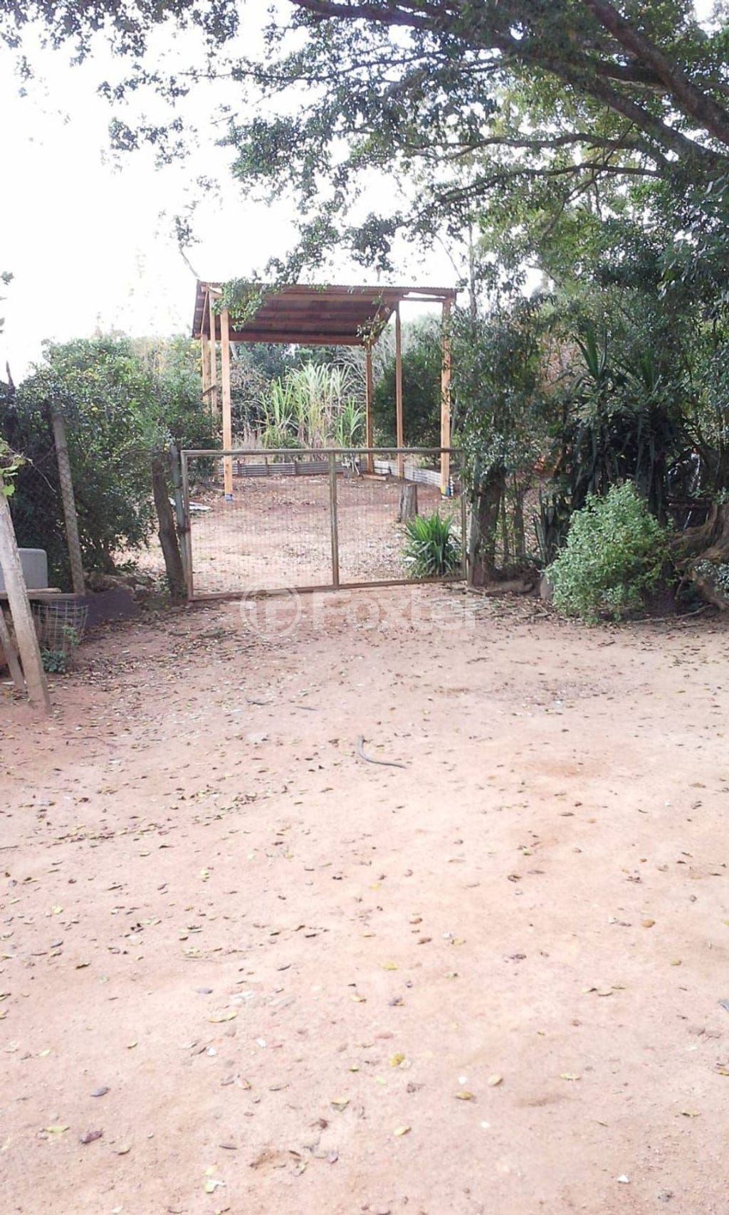 sitio chachara fazenda para comprar em dos Sargentos, 170 - foto 21