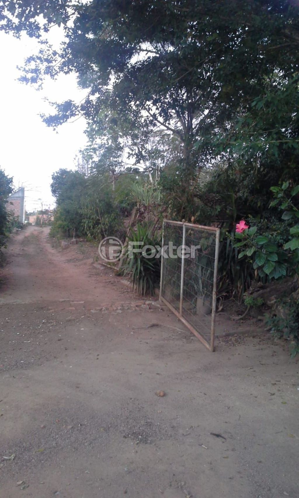 sitio chachara fazenda para comprar em dos Sargentos, 170 - foto 22