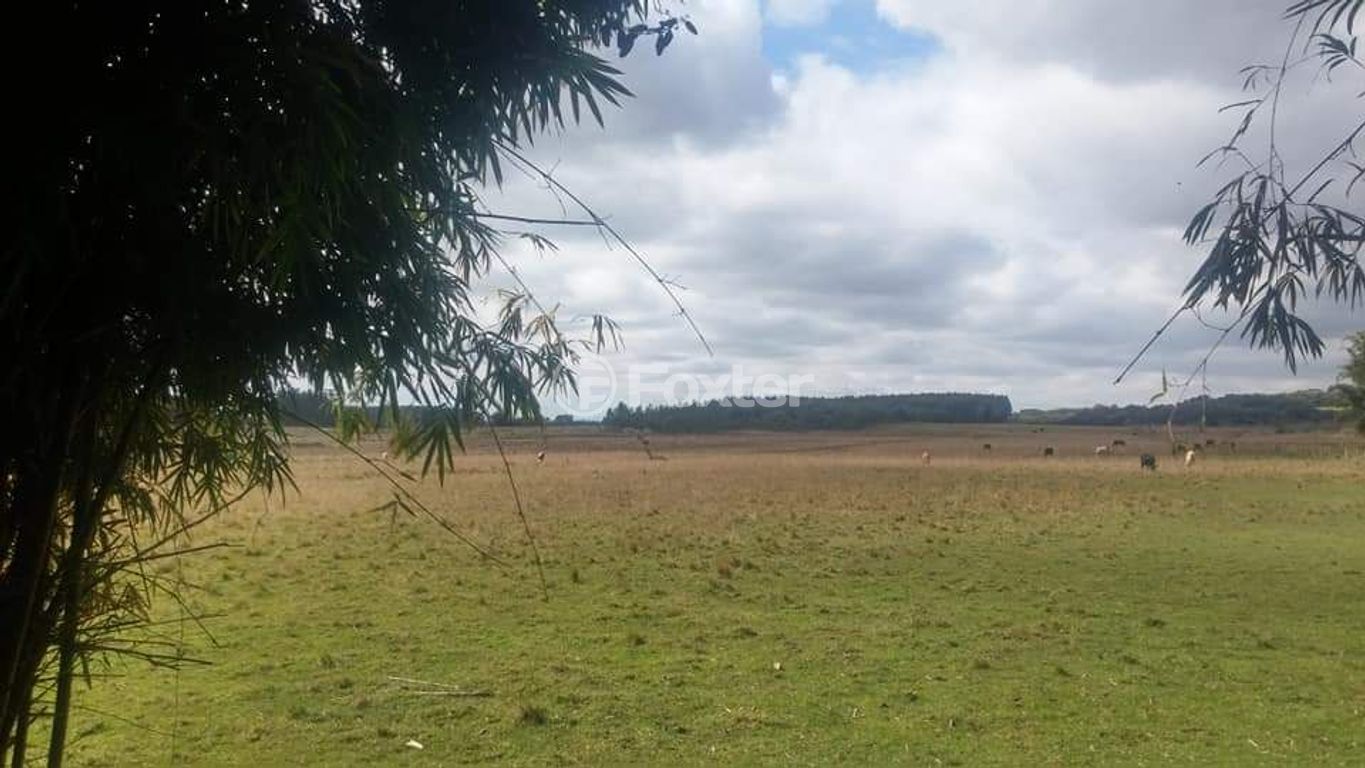 terreno lote condominio para comprar em 4 de Maio, S/N - foto 7