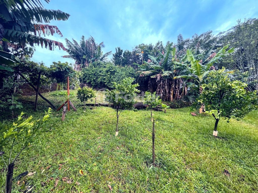 casa sobrado para comprar em Boa Saúde, 940 - foto 19