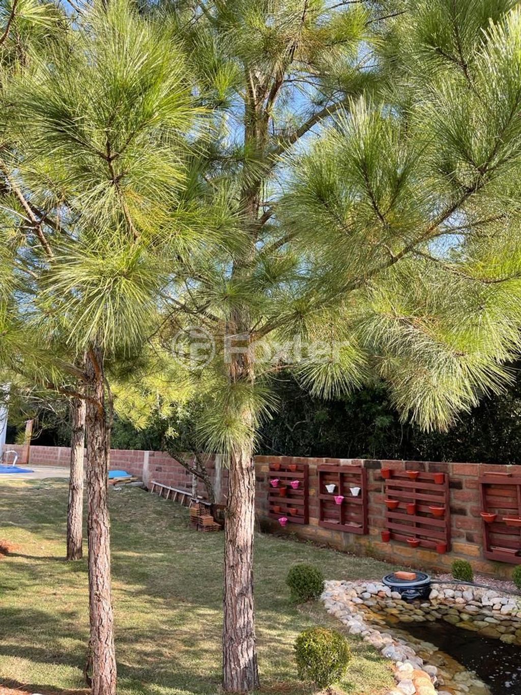 sitio chachara fazenda para comprar em Namderogami, 700 - foto 10