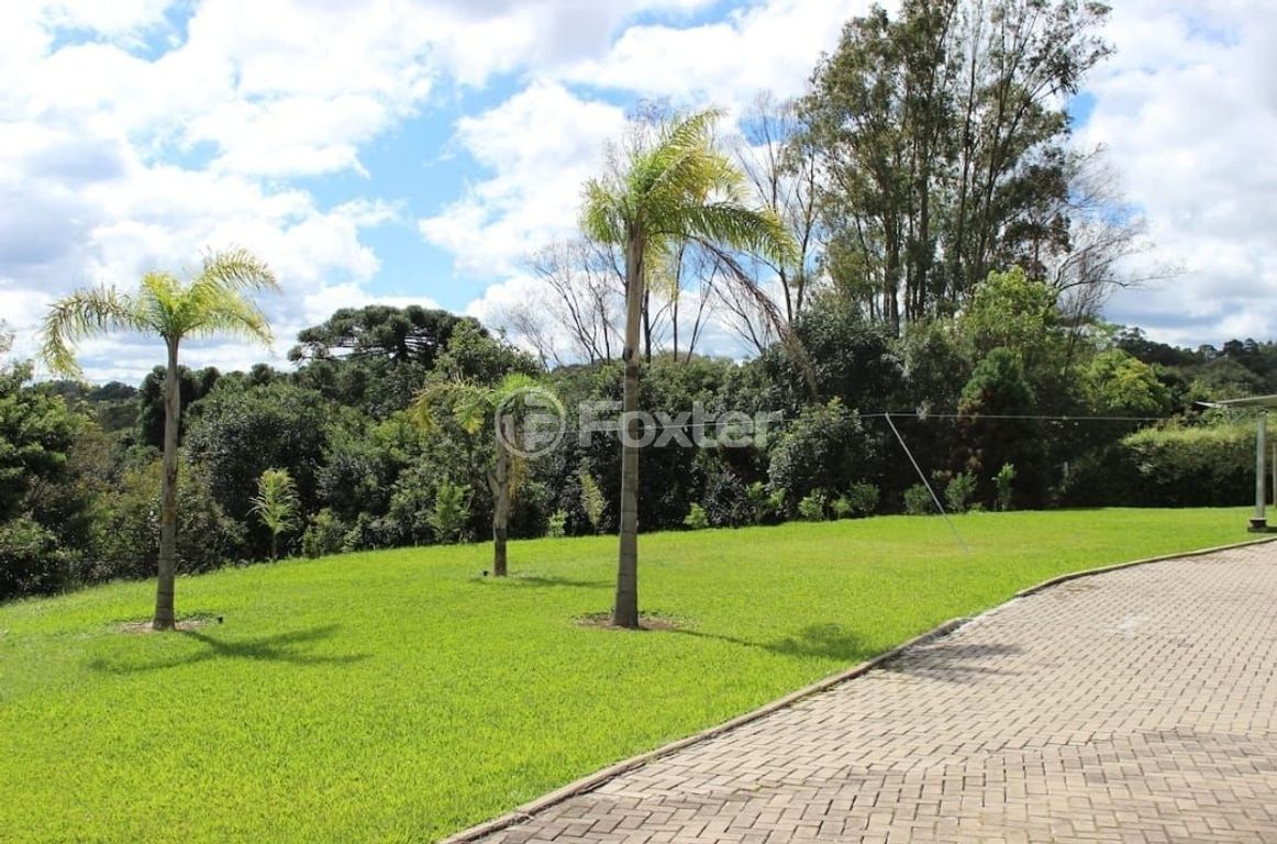 sitio chachara fazenda para comprar em Nova Serdenha, 258 - foto 7