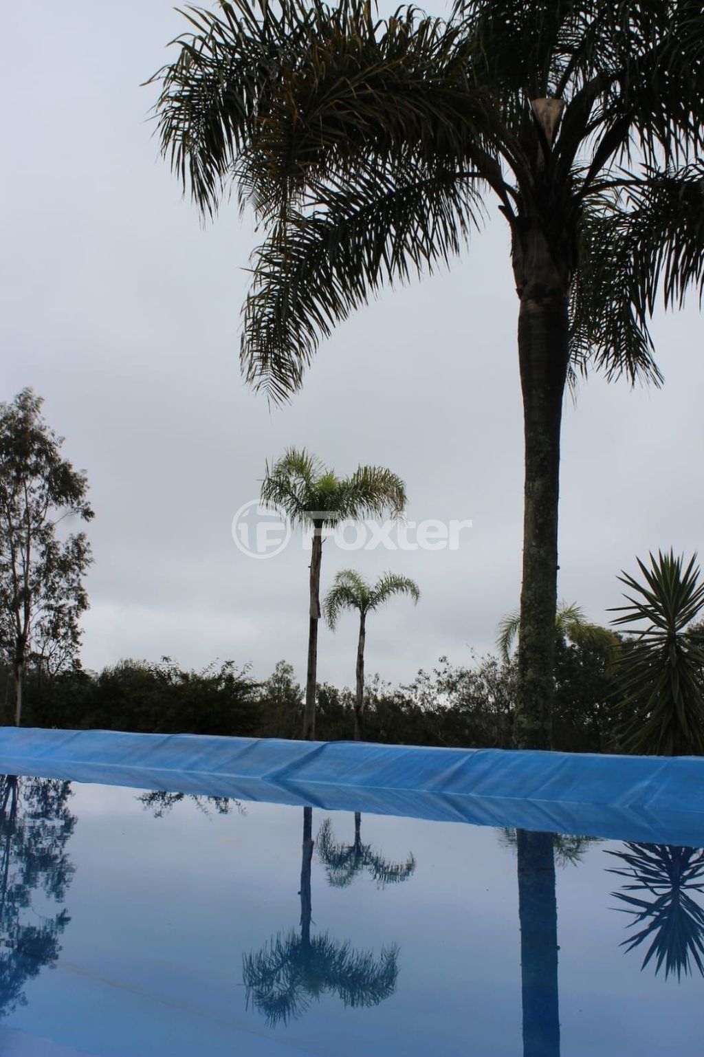 sitio chachara fazenda para comprar em Nova Serdenha, 258 - foto 20