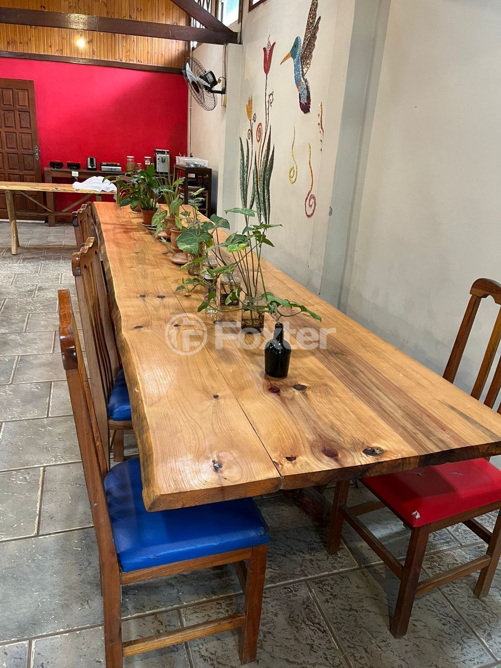 sitio chachara fazenda para comprar em Anielo Feula, 1540 - foto 7