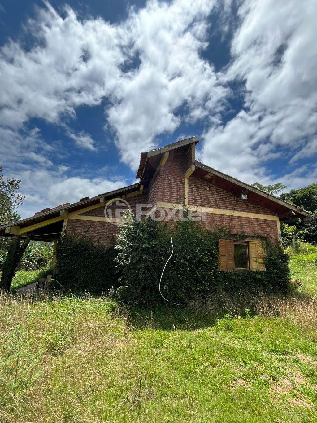 sitio chachara fazenda para comprar em Anielo Feula, 1540 - foto 17