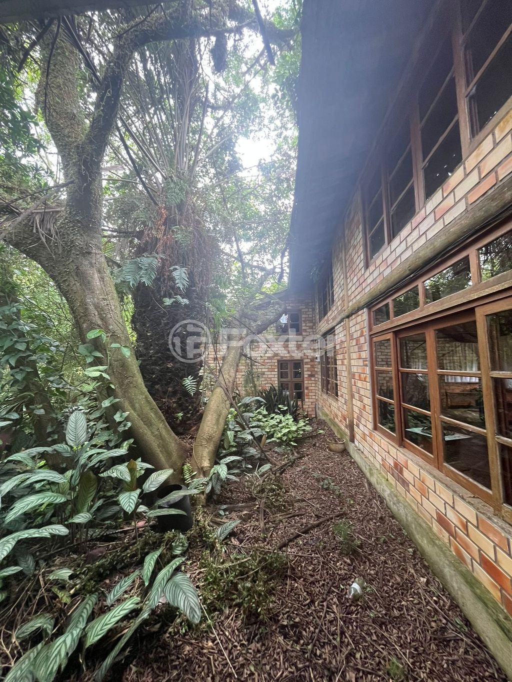 sitio chachara fazenda para comprar em Anielo Feula, 1540 - foto 23