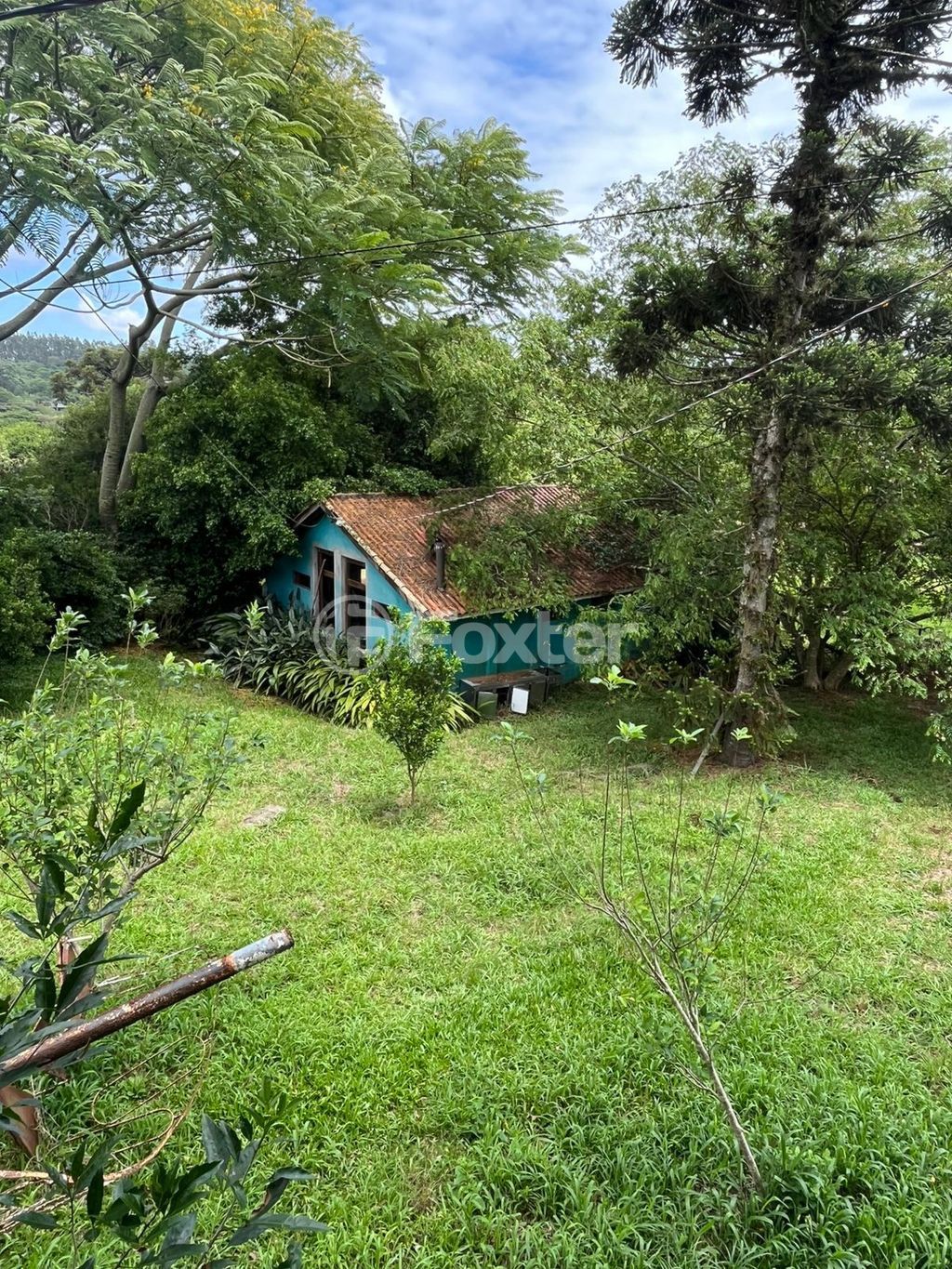 sitio chachara fazenda para comprar em Anielo Feula, 1540 - foto 29
