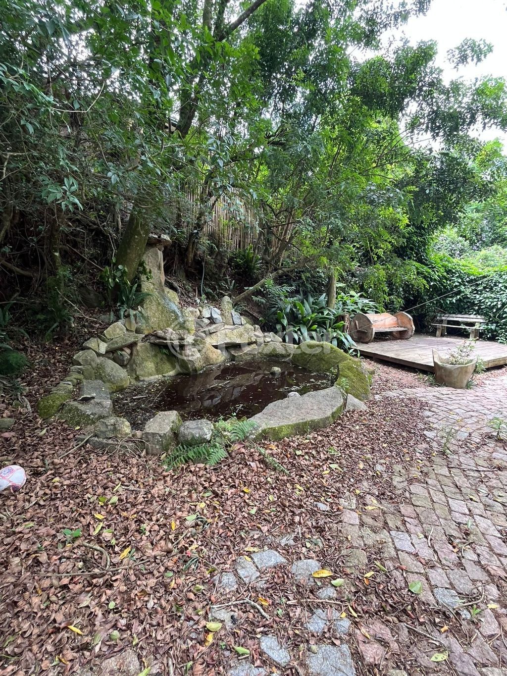 sitio chachara fazenda para comprar em Anielo Feula, 1540 - foto 31