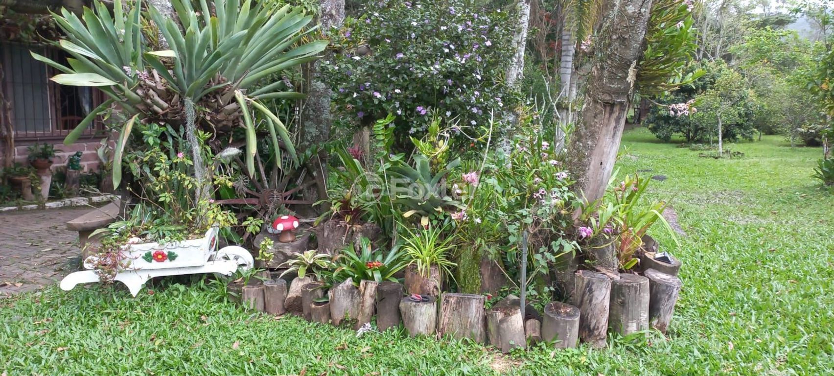 sitio chachara fazenda para comprar em Afonso Correia, 4272 - foto 54