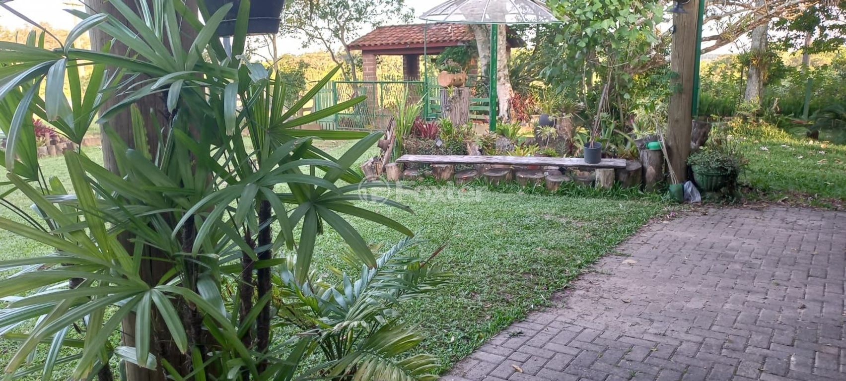 sitio chachara fazenda para comprar em Afonso Correia, 4272 - foto 42