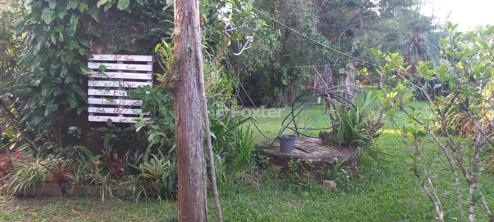 sitio chachara fazenda para comprar em Afonso Correia, 4272 - foto 44