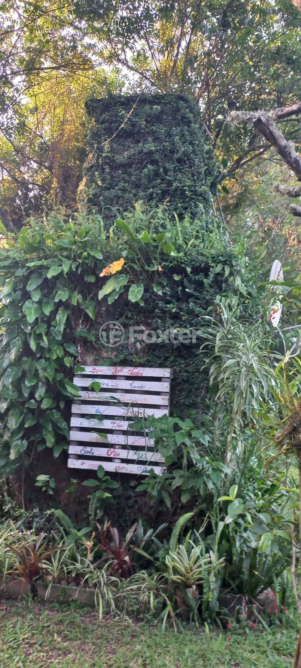 sitio chachara fazenda para comprar em Afonso Correia, 4272 - foto 45