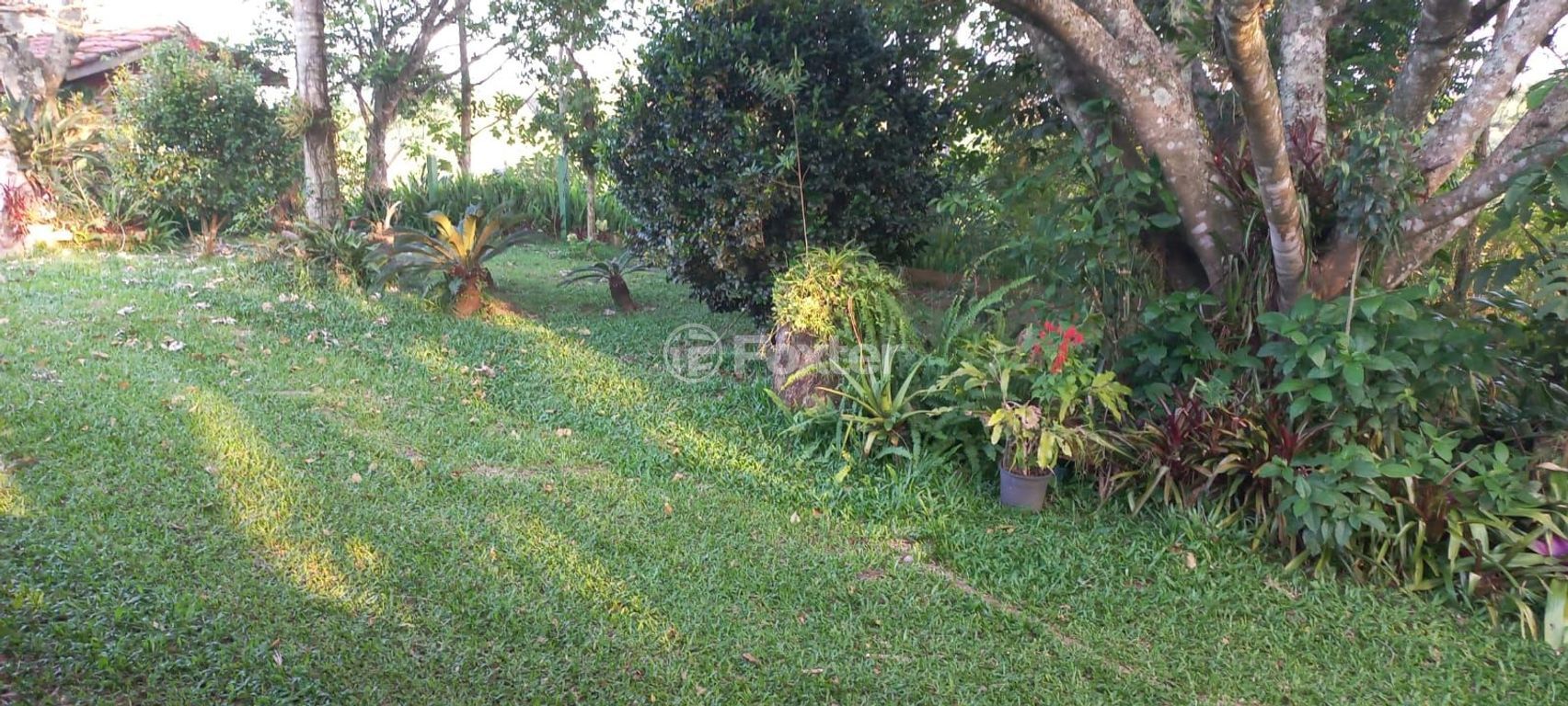 sitio chachara fazenda para comprar em Afonso Correia, 4272 - foto 52