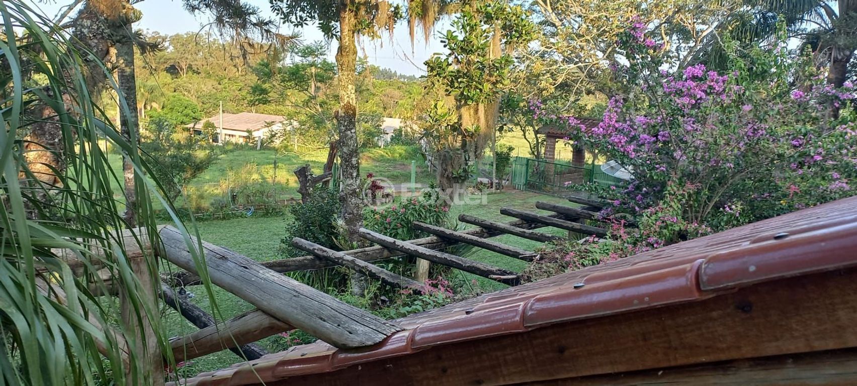 sitio chachara fazenda para comprar em Afonso Correia, 4272 - foto 40