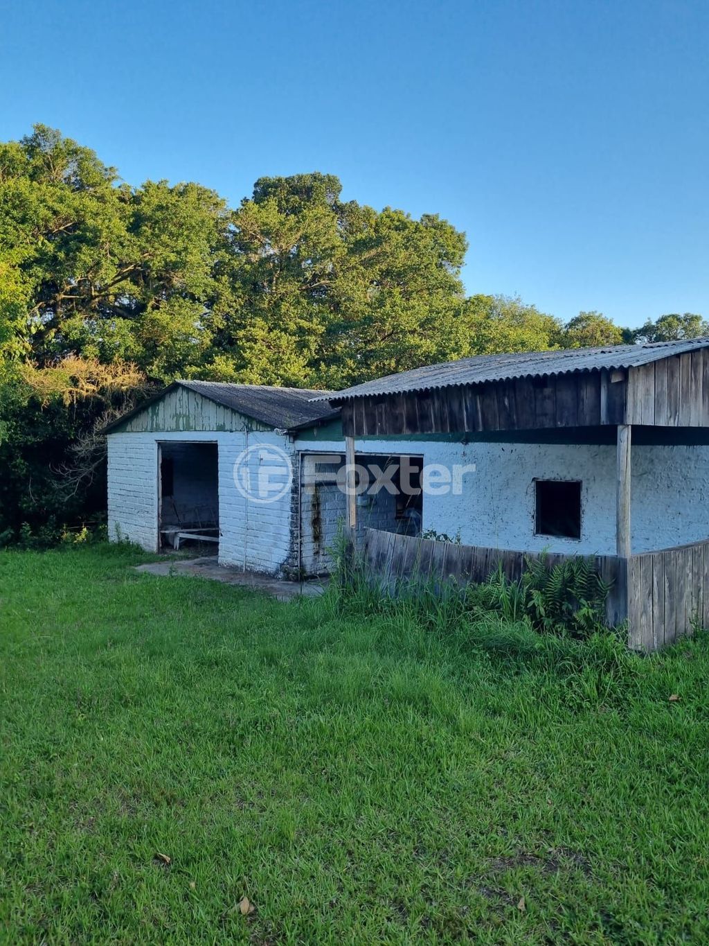 sitio chachara fazenda para comprar em Quatro de maio, 888 - foto 94