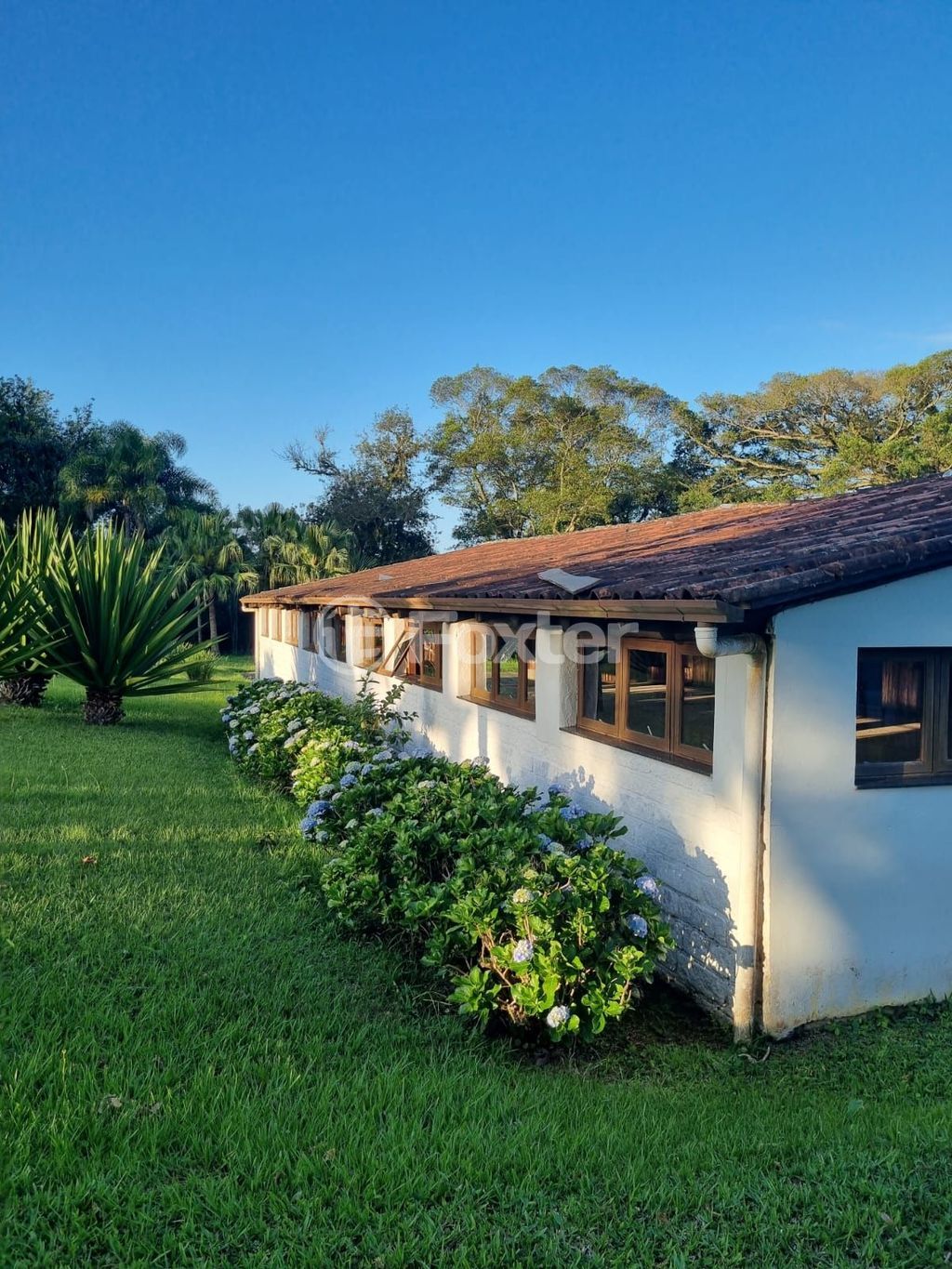 sitio chachara fazenda para comprar em Quatro de maio, 888 - foto 54