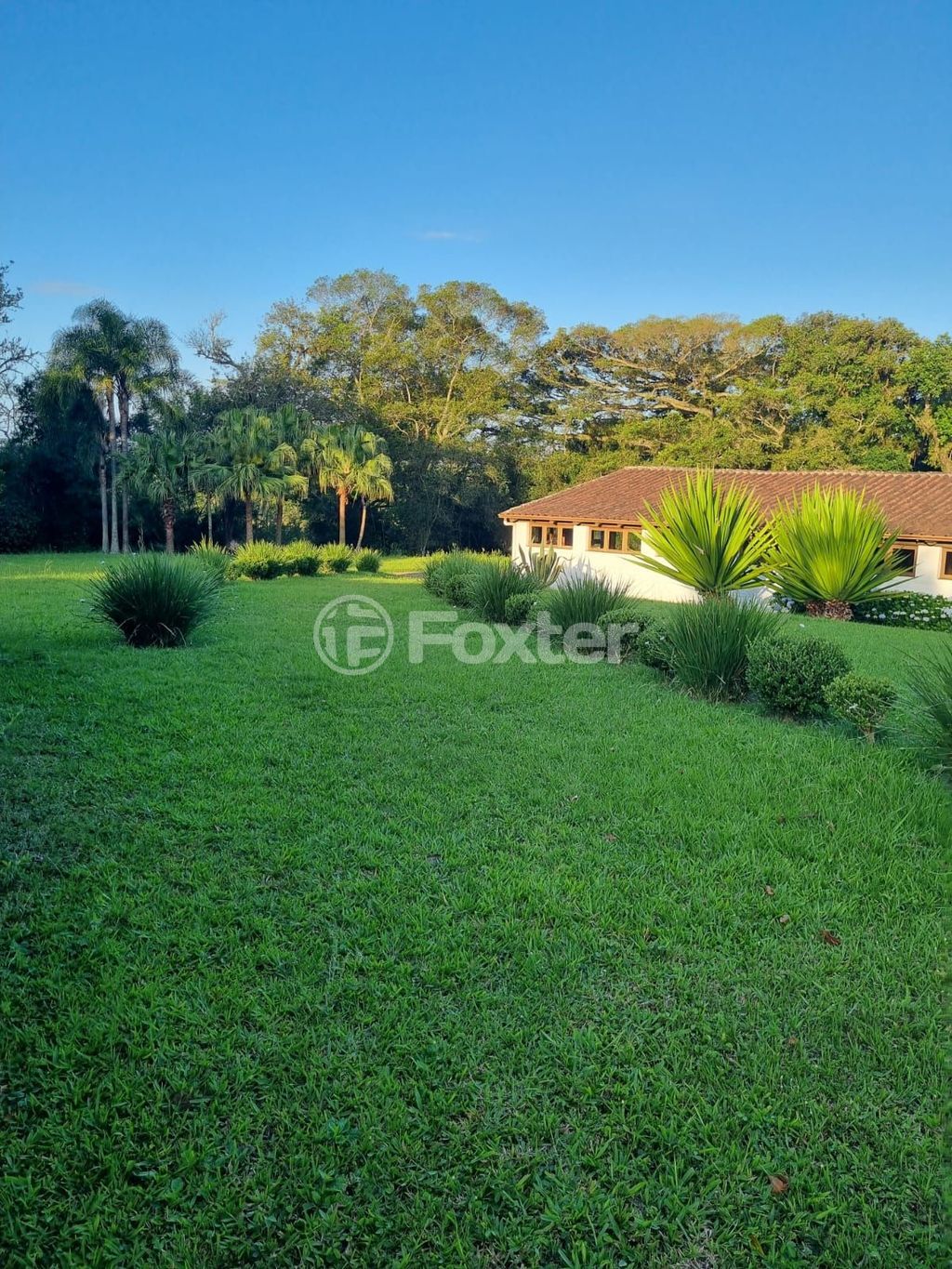 sitio chachara fazenda para comprar em Quatro de maio, 888 - foto 67